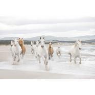 Papel de parede fotográfico White Horses Multicolor