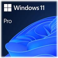 Microsoft Windows 11 Pro 64-bit EN OEM