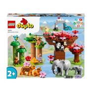 LEGO Animais Selvagens da Ásia