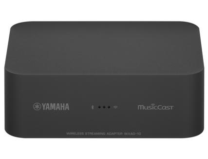 Yamaha WXAD-10 Ethernet LAN Wi-Fi Cinzento transmissor de áudio digital