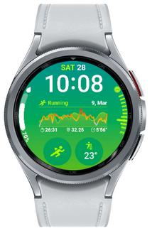 Smartwatch SAMSUNG Galaxy Watch6 Classic 43 mm BT Prateado