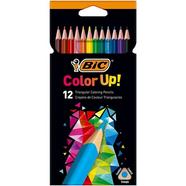 Pack de 12 lápis de cor Intensity