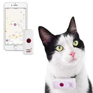 Tracker GPS Weenect Cats 2