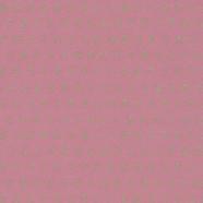 Papel de parede insectos rosa Pip Studio Rosa-claro