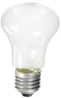 ELINCHROM EL-23002 – LAMPADA 100W P