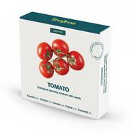 Sementes TREGREN Tomate