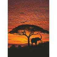 Papel de parede fotográfico African Sunset Multicolor